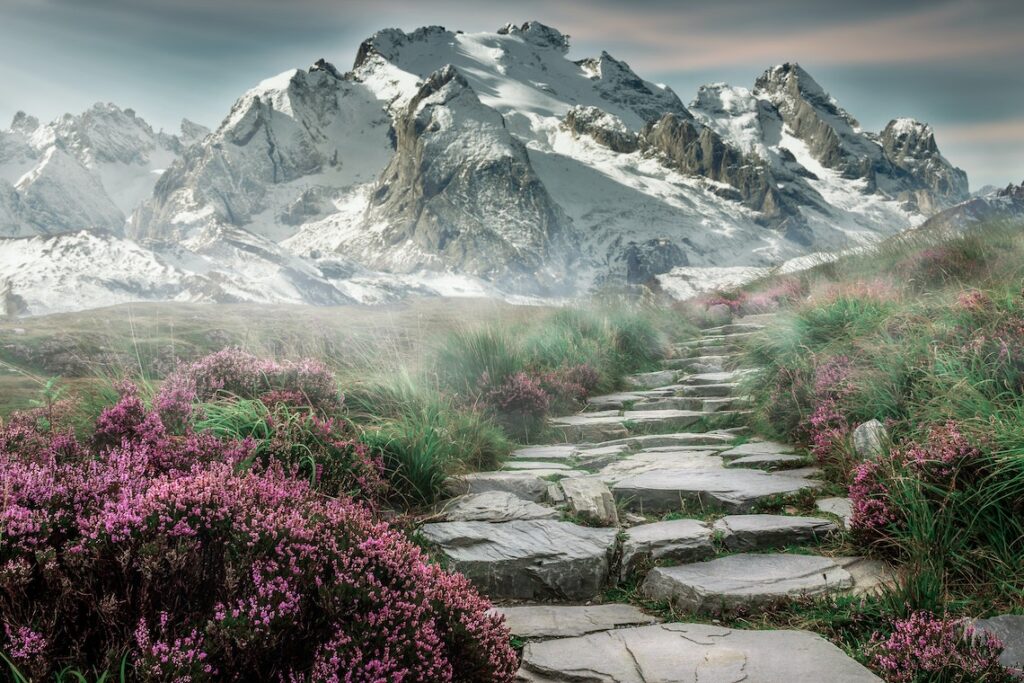 Rock In Between Grass And Flowers.