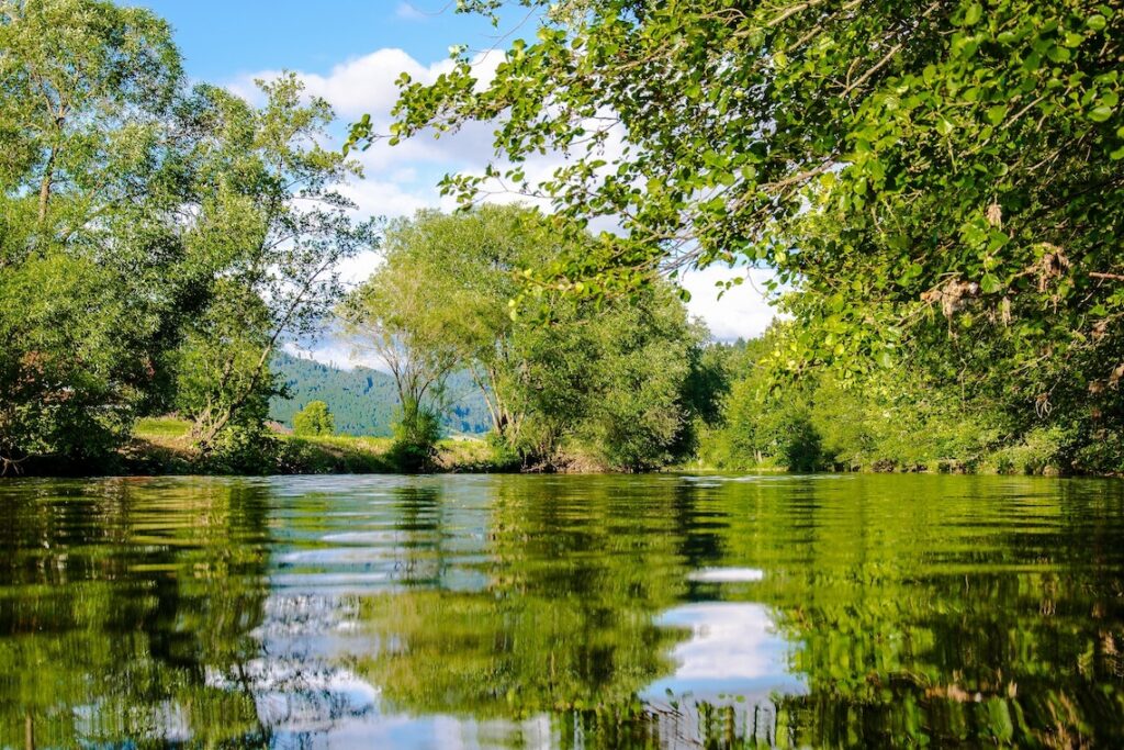 Panoramic photo of bushes near a water source.