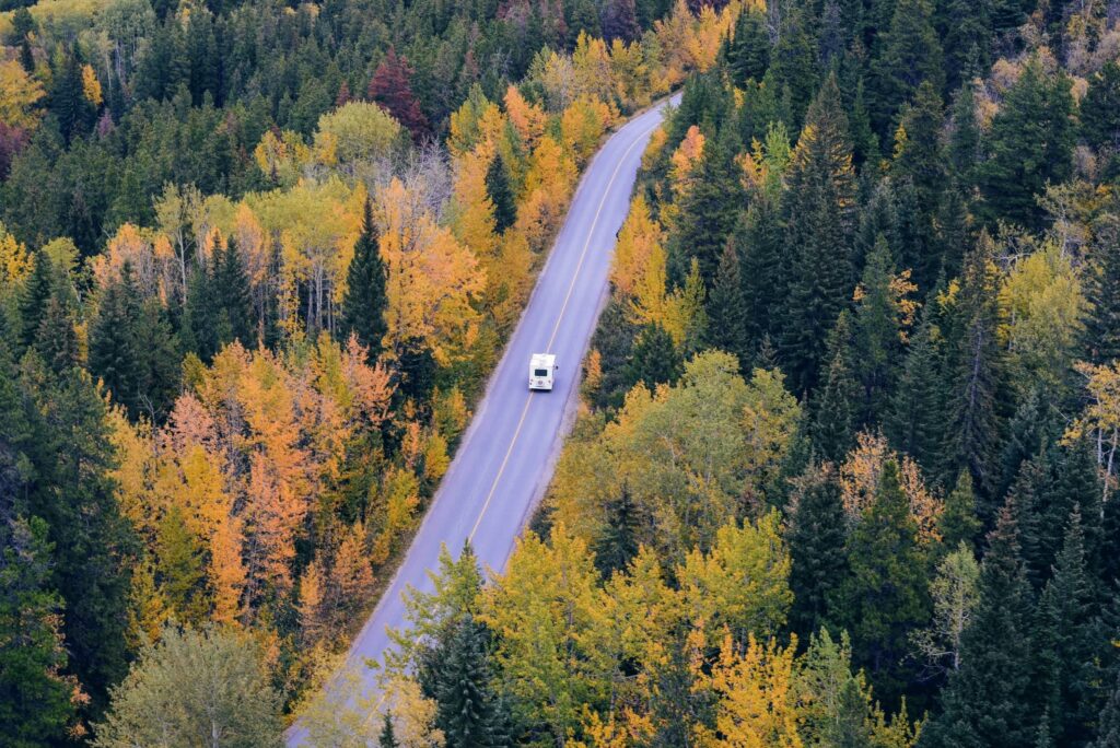 A White Car Travelling Near Trees On A Smooth Road.