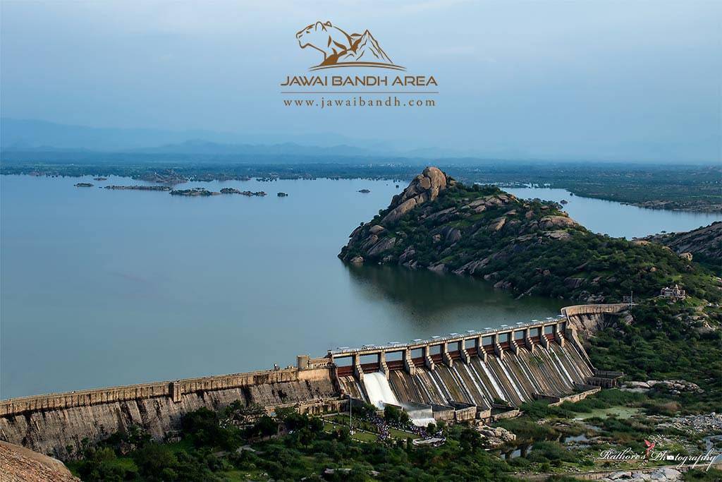 Jawai Bandh.