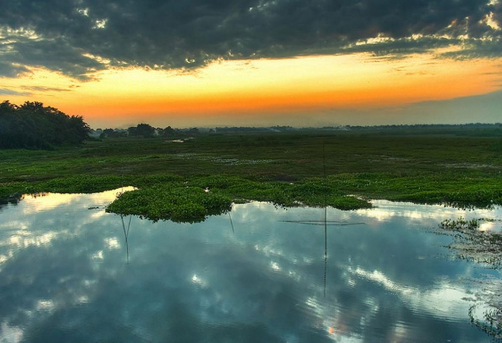 Majuli Island.