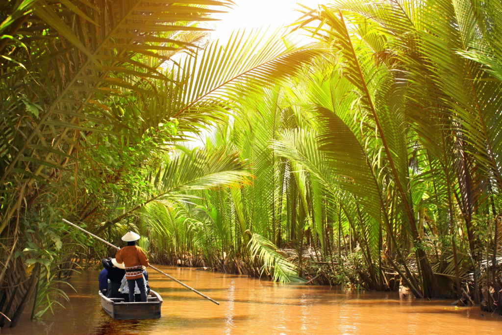 Mekong Delta.